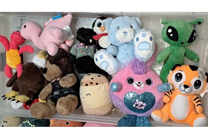 $300 : PAQUETE DE 19 PELUCHES DIFEREN image 1