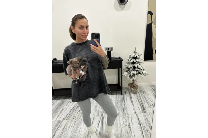 $250 : Teacup Chihuahua puppies image 2