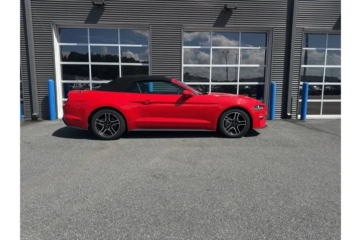 $19999 : Ford Mustang 2022 EcoBoost P image 4