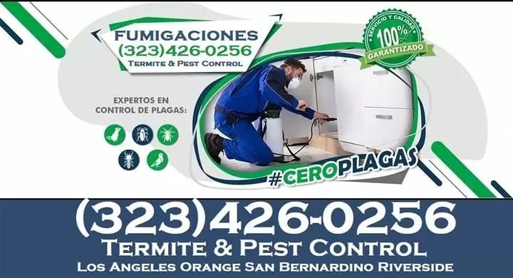 FUMIGADORES-TERMITAS-PLAGAS image 1