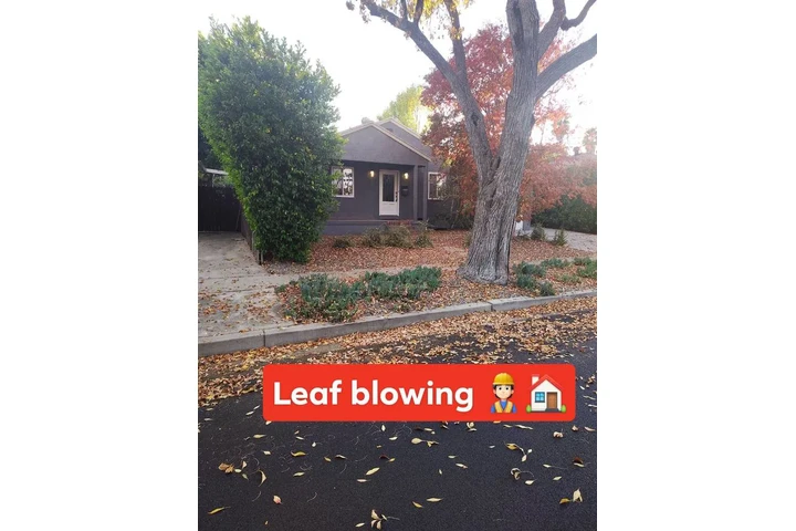 Corte de pasto 🏡$35 image 3