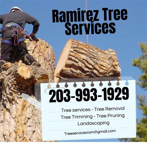 Ramirez Tree services image 1