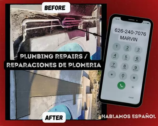Limpieza y reparación se alber image 2