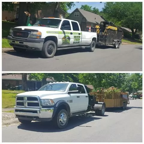 Chowis Tree Services image 7