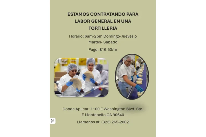 LABOR GENERAL image 1