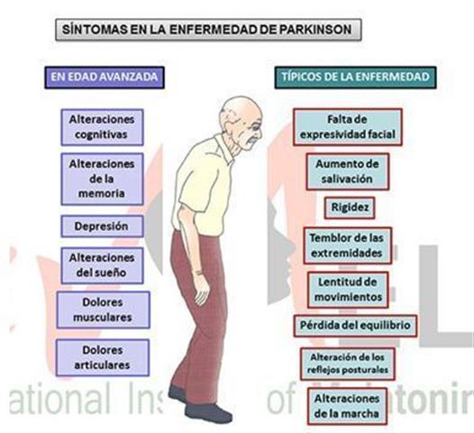 REHABILITACION EN PARKINSON image 3