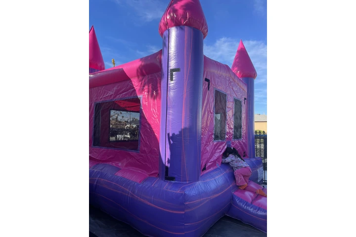 Rentamos para sus fiestas image 8