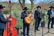 Los Chirrines en Fontana CA en San Bernardino