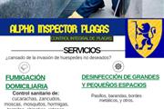 Servicio de fumigacion en Bucaramanga