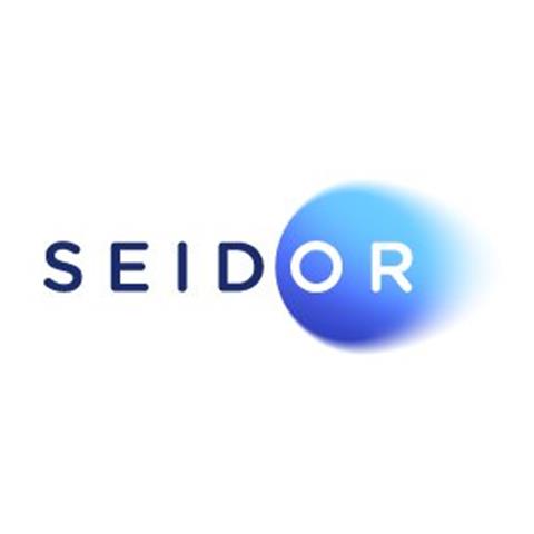 SEIDOR One image 1