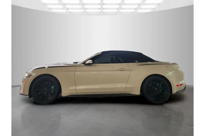 $19535 : Ford Mustang 2019 EcoBoost 2 image 4