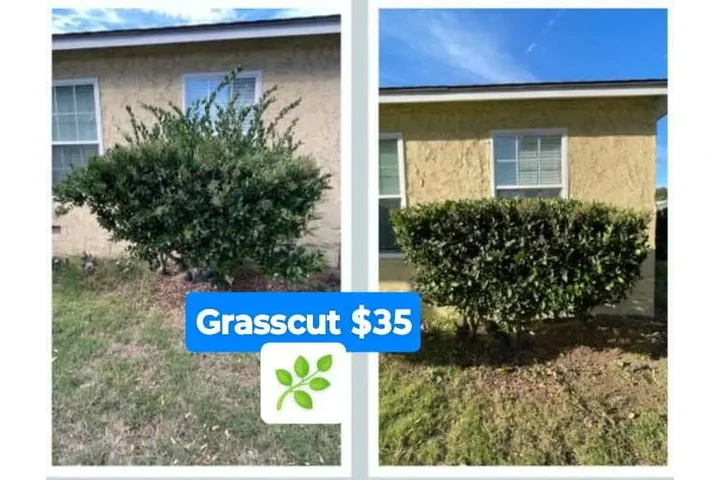 Corte de pasto 🌿👷🏼 image 5