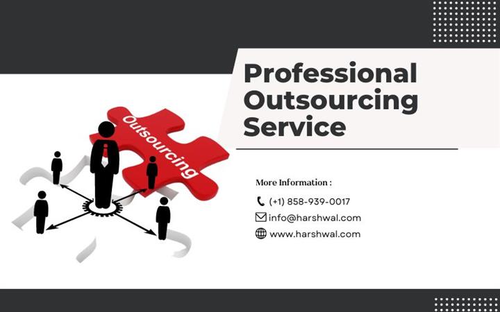 professional outsourcing image 1