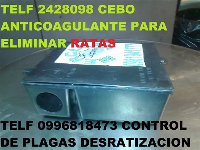CEBO PARA RATAS en Cumbaya image 3