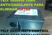 CEBO PARA RATAS en Cumbaya thumbnail