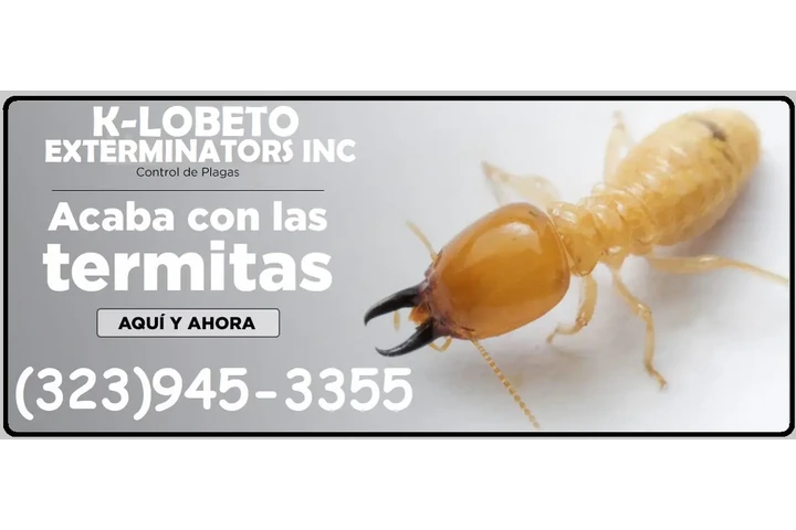 PEST CONTROL MAYWOOD ALL AREAS image 10