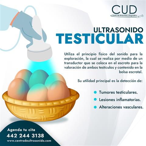 Ultrasonido testicular!! image 1