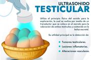 Ultrasonido testicular!!