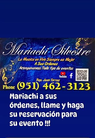 🎺MARIACHISERENATAS DESDE $300 image 1