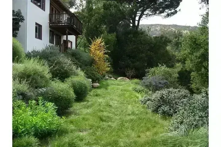 MANTENIMIENTO DE JARDINERÍA image 5