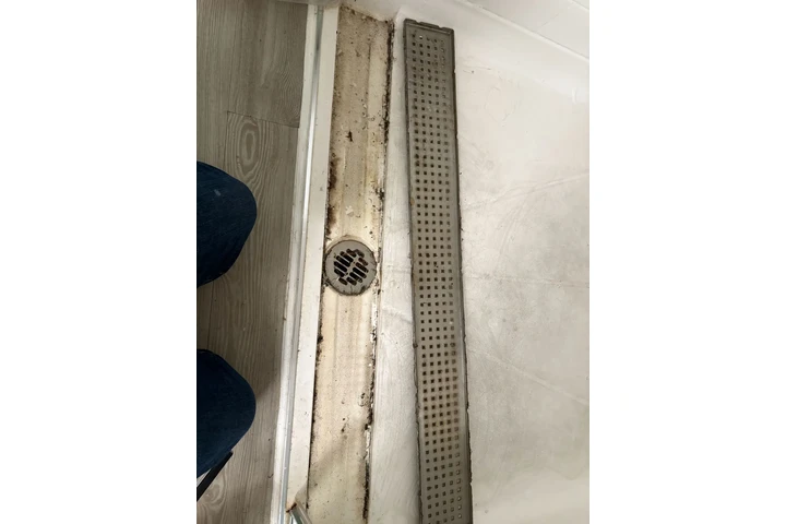 House cleaning image 2