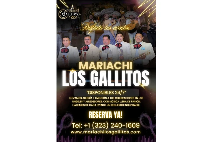 Mariachi Los Gallitos For Hire image 1