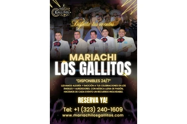 Mariachi Los Gallitos For Hire en Los Angeles