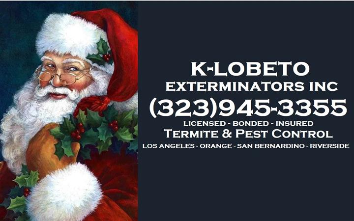 PEST CONTROL SERVICES-RODENTS. image 10