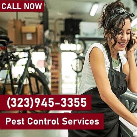 PEST CONTROL MAYWOOD 24/7.- image 10