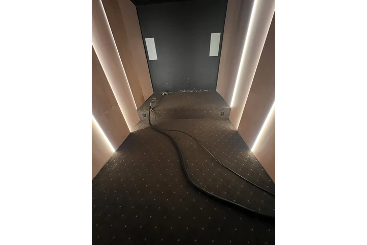 Carpet cleaner image 4