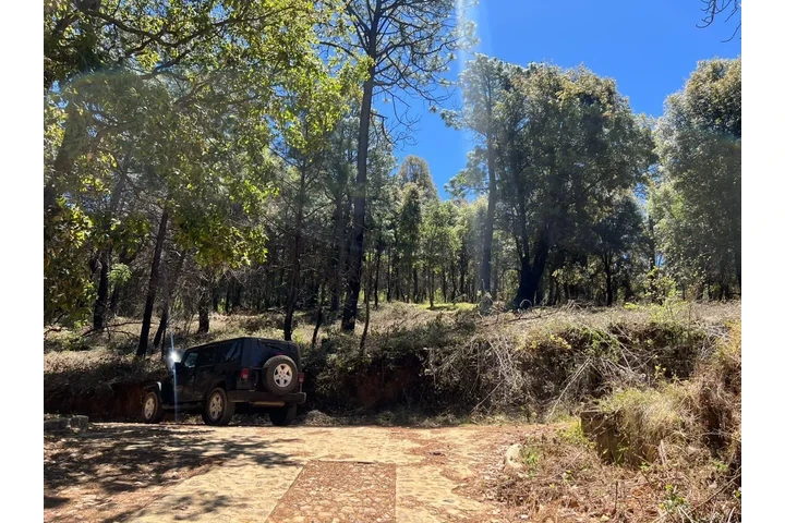 Terreno En Mazamitla image 1