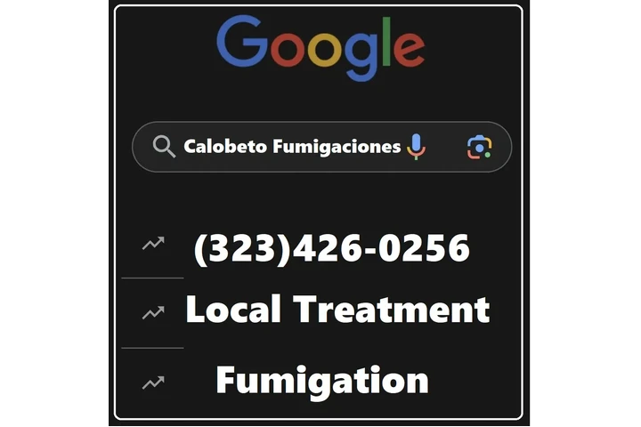 FUMIGACIONES🌟🌟🌟🌟🌟TERMITA image 1