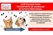 Viajar con mascotas es posible en Lima