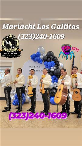 Mariachi Los Gallitos For Hire image 4