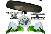 AMBIENTADORES DE AUTO PUBLICIT en Monterrey