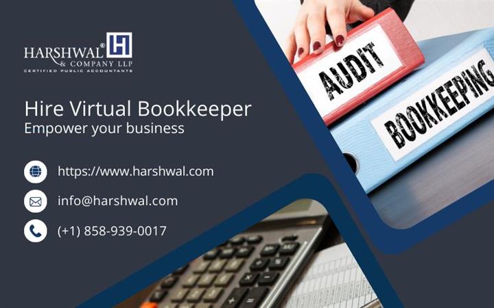 Hire Virtual Bookkeeper image 1