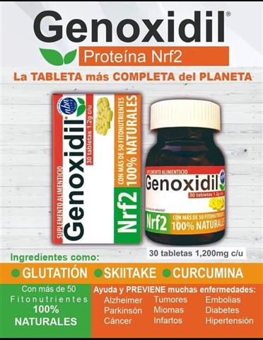 nrf2 antioxidante image 2