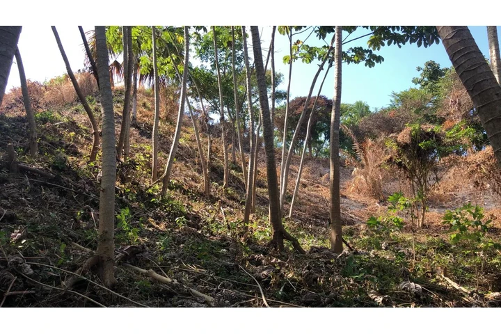 $550000000 : Terreno en venta Santa Marta image 10