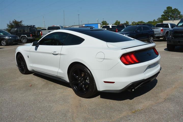 2019 Mustang EcoBoost image 10