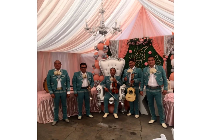 Mariachi Los Potrillos image 2