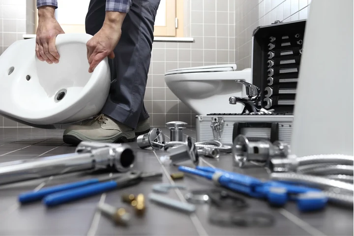 PLOMERIA MORALES image 4