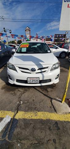 $1500 : Corollas image 6