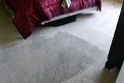 Carpet Cleaning(818)799-3095☎️ thumbnail 2