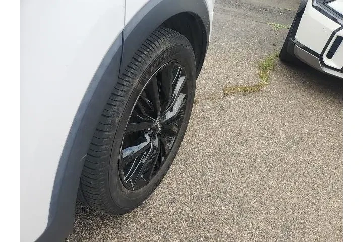 $30491 : Kia Telluride 2022 AWD SX 4d image 8