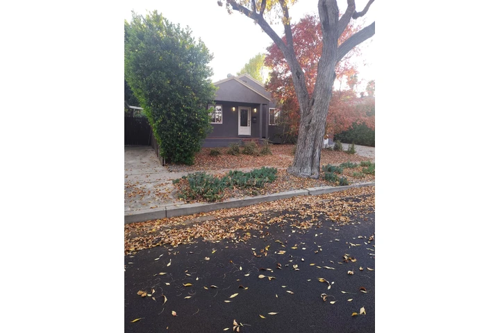 Corte de pasto a domicilio image 4