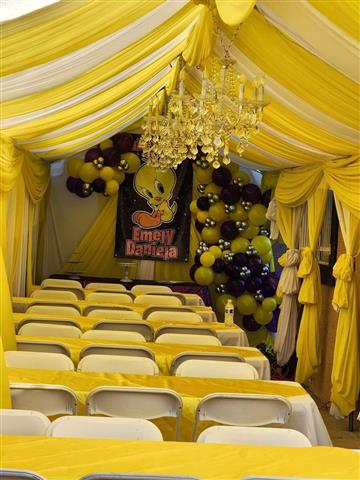 Funky party rentals image 8