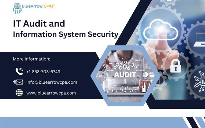 IT Audit & Info. Sys. Security image 1