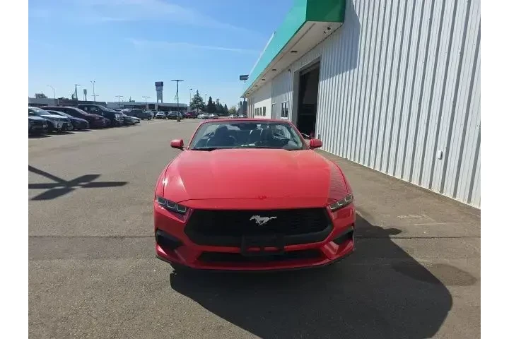 $35900 : Ford Mustang 2025 EcoBoost P image 2