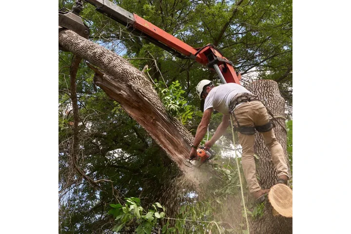 The 3 Brothers Landscaping image 3