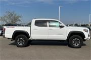 $36992 : Tacoma TRD Off-Road thumbnail